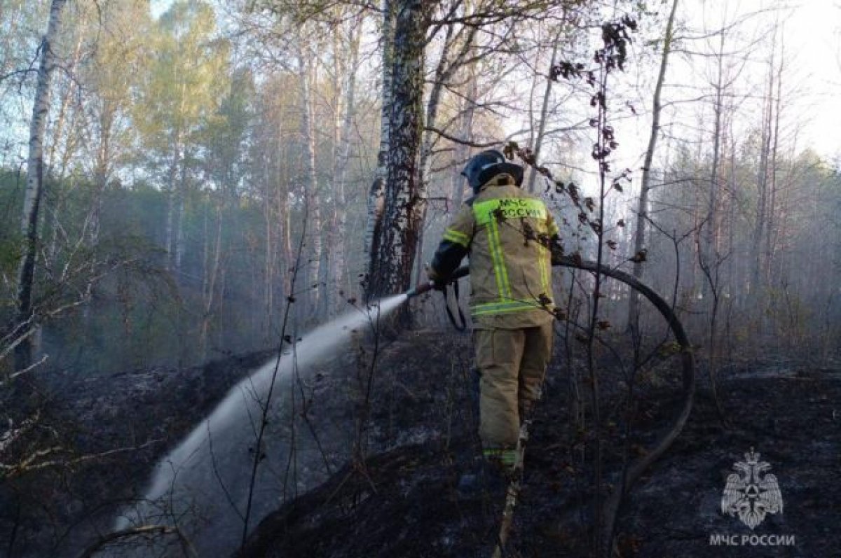 В Свердловской области за сутки потушили 20 лесных пожаров