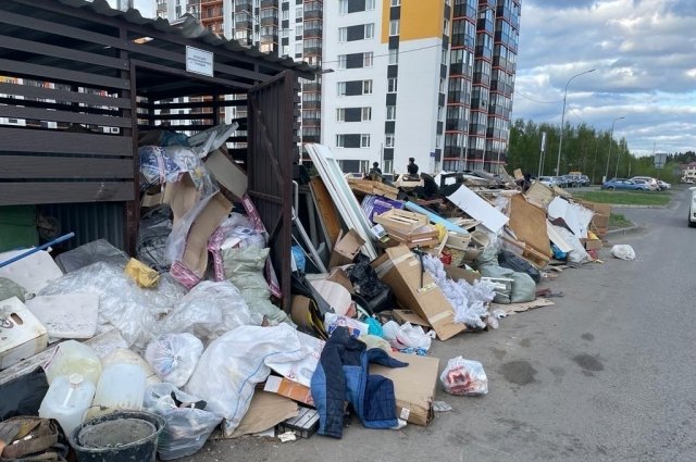 Жители Петрозаводска убеждены: увеличение тарифов проблему со своевременным вывозом мусора не решит.