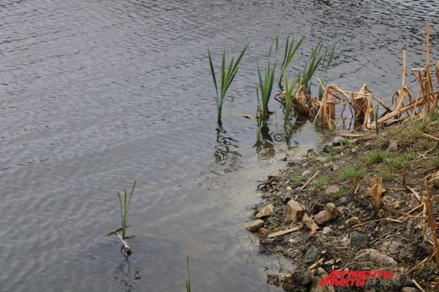 В Оренбуржье ищут утонувшего рыбака