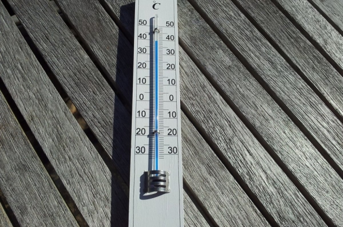 На Алтае зафиксировали температуру почти +50 градусов