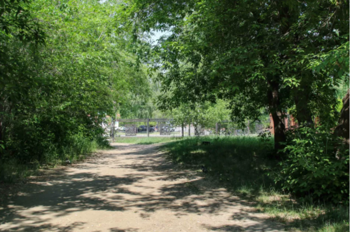 Зоны отдыха и спортплощадки появятся в барнаульском парке им. Ленина