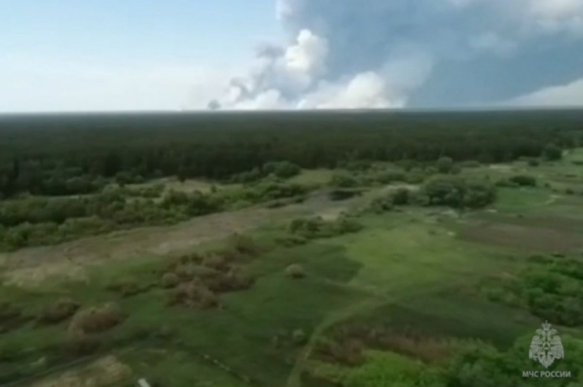 Самолет-амфибия участвует в тушении лесного пожара в Алтайском крае