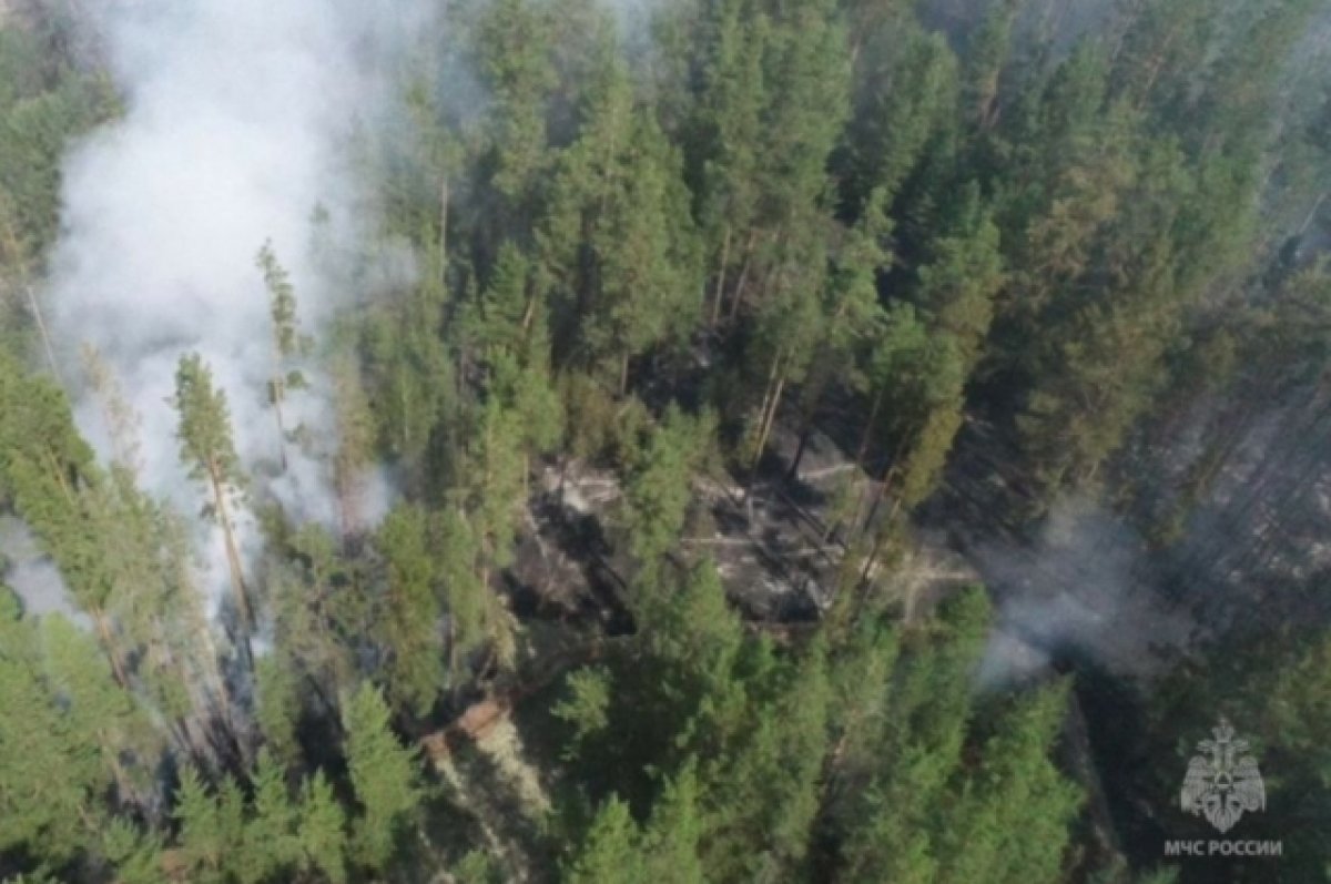 В Егорьевском районе из-за лесного пожара ввели режим ЧС