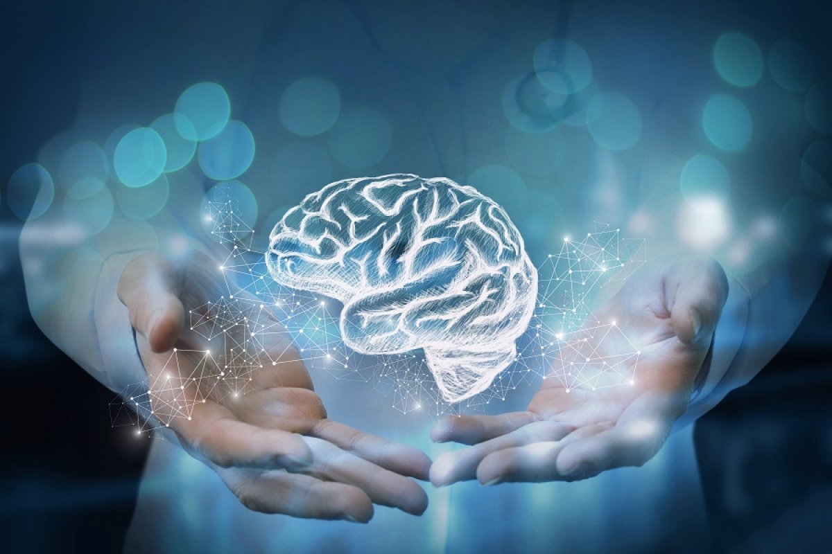 Мозг — наше всё. Как справиться с нарушением когнитивных способностей?