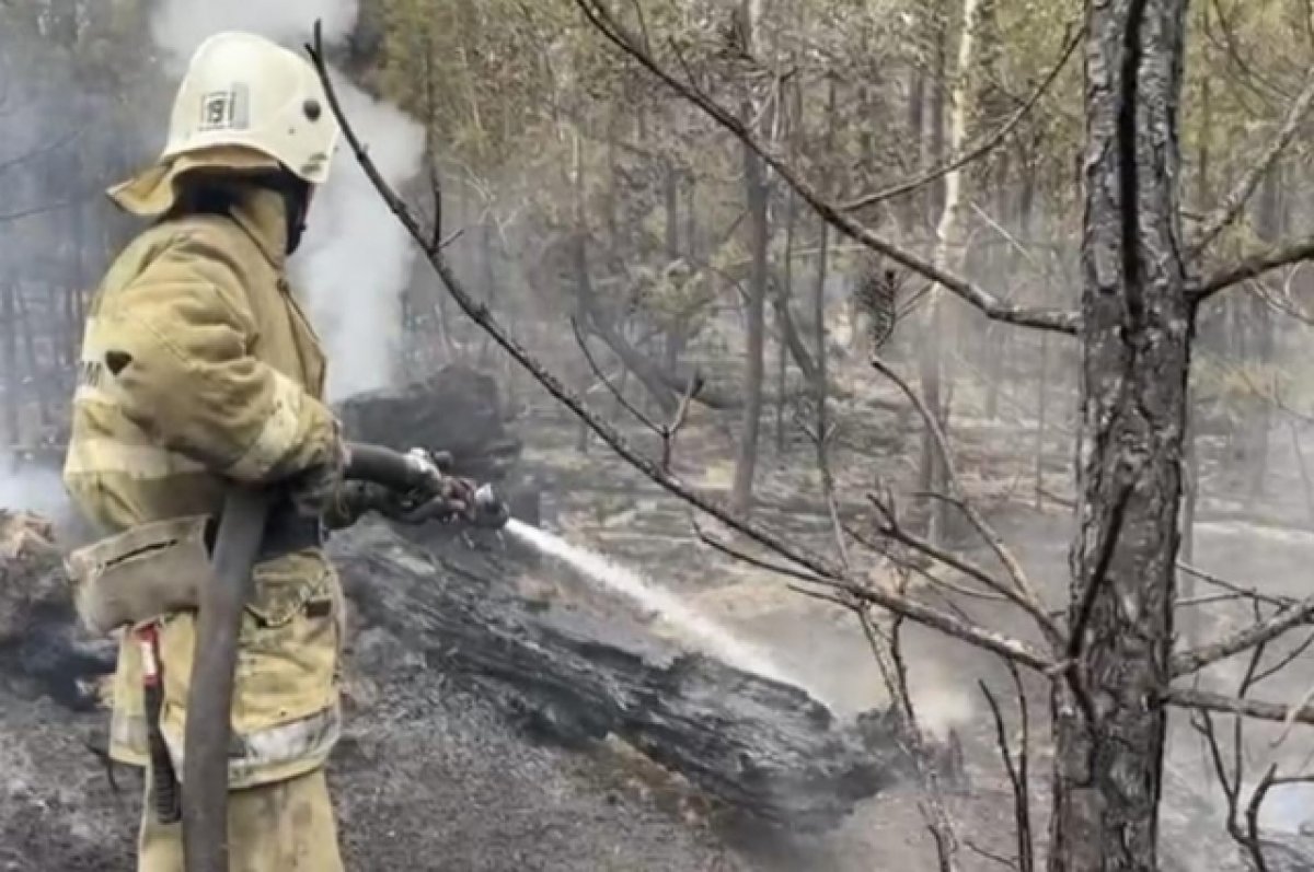 В Казахстане при пожаре из-за молнии погибли 14 работников лесничества