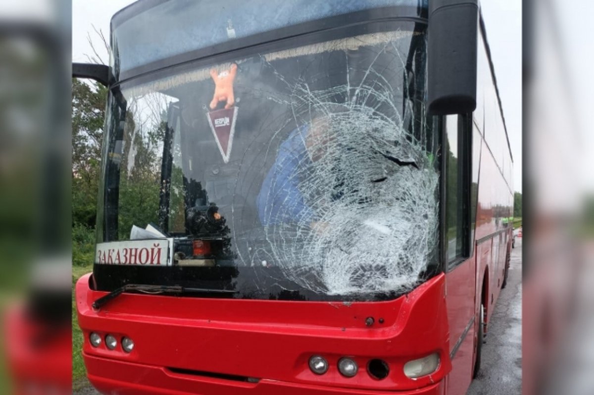 Под Воронежем пешеход погиб под колесами заказного автобуса из Белгорода |  АиФ Воронеж