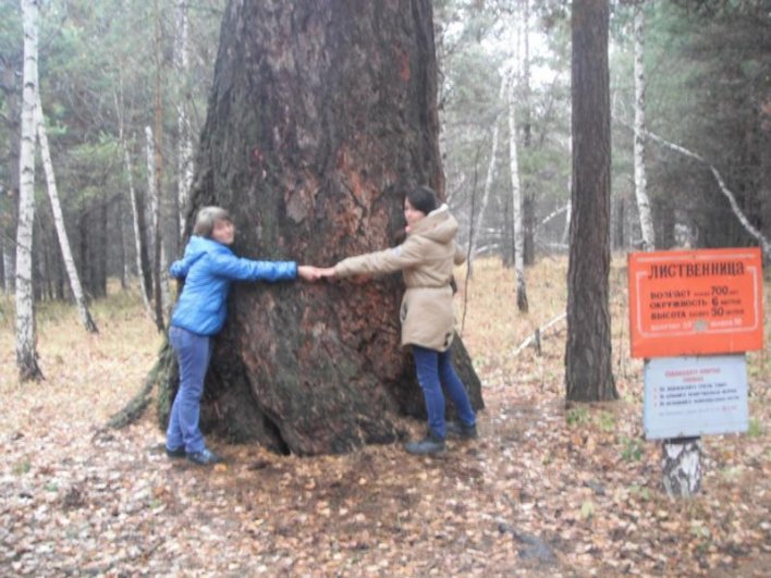 700-летняя лиственница из Башкортостана. Высота 30 метров, длина окружности – 6 метров. Древние башкиры считали это дерево священным.
