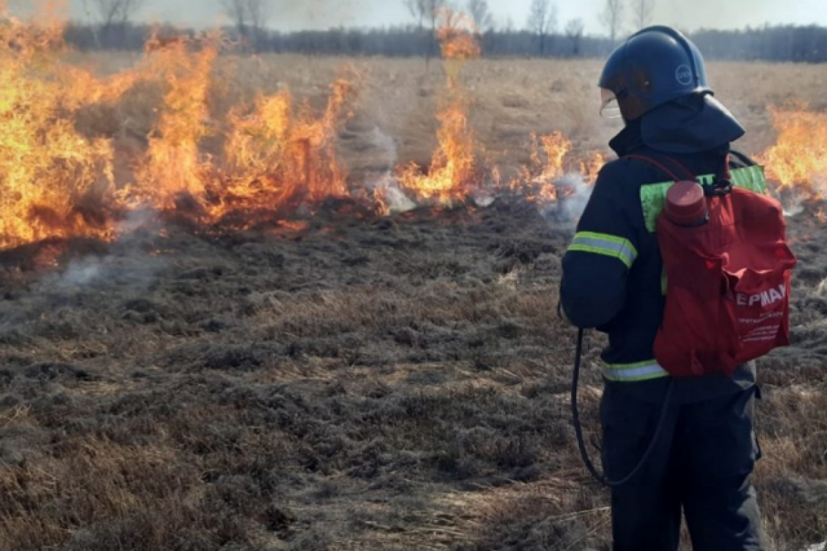 Площадь пожара в Егорьевском районе увеличилась почти в два раза