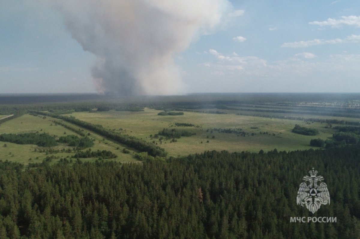 В Егорьевском районе ввели режим ЧС из-за крупного лесного пожара