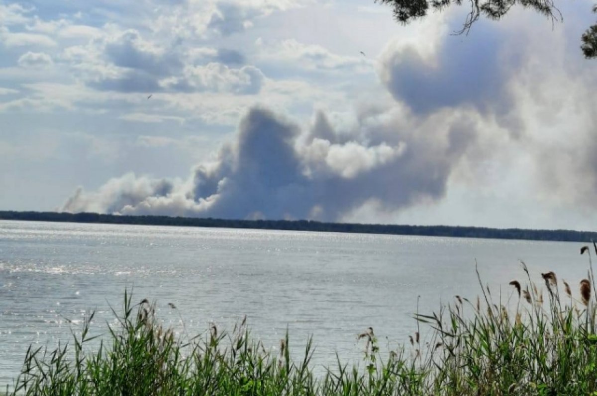 Площадь лесного пожара в Егорьевском районе достигла 9 тысяч гектаров