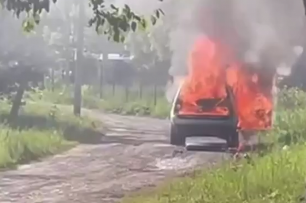 В Алтайском крае сгорел автомобиль туристов из Новосибирска | АиФ  Новосибирск