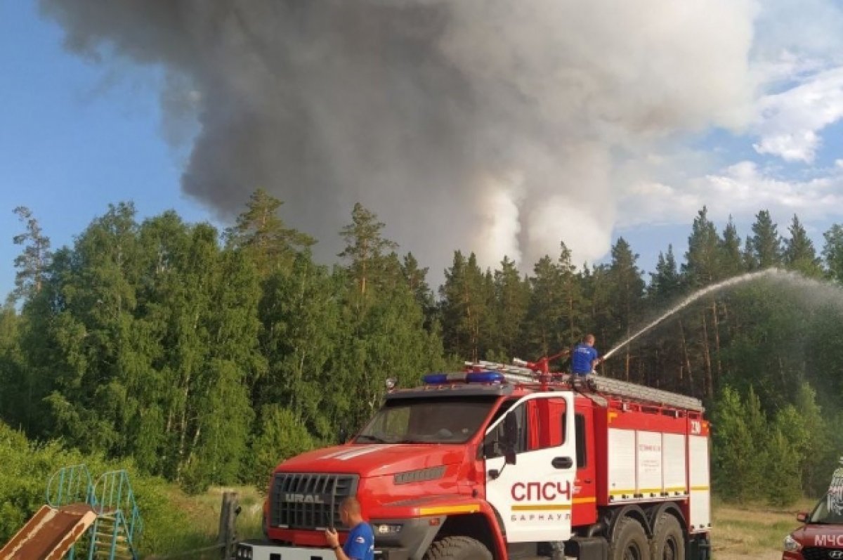 Мощный лесной пожар в Егорьевском районе локализовали