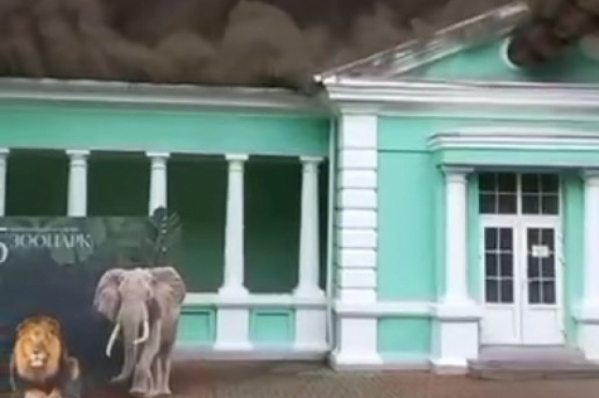 Прокуратура организовала проверку после пожара в ростовском зоопарке