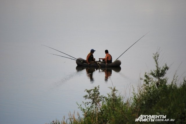 В реках, озёрах и водоёмах Кузбасса много рыбы. 