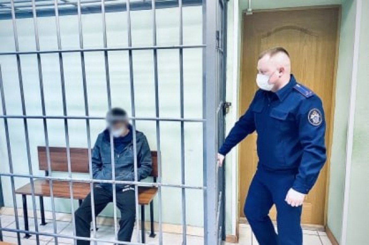 В Брянске вынесли приговор участникам смертельного нападения на пенсионерку