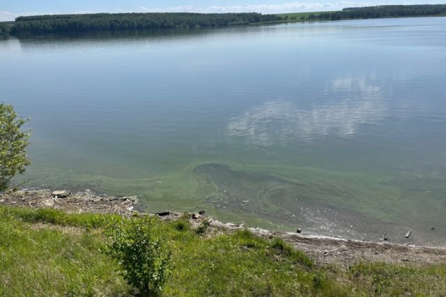 За последние 10-20 лет озеро Аляты стало мельче на 1-1,5 м.