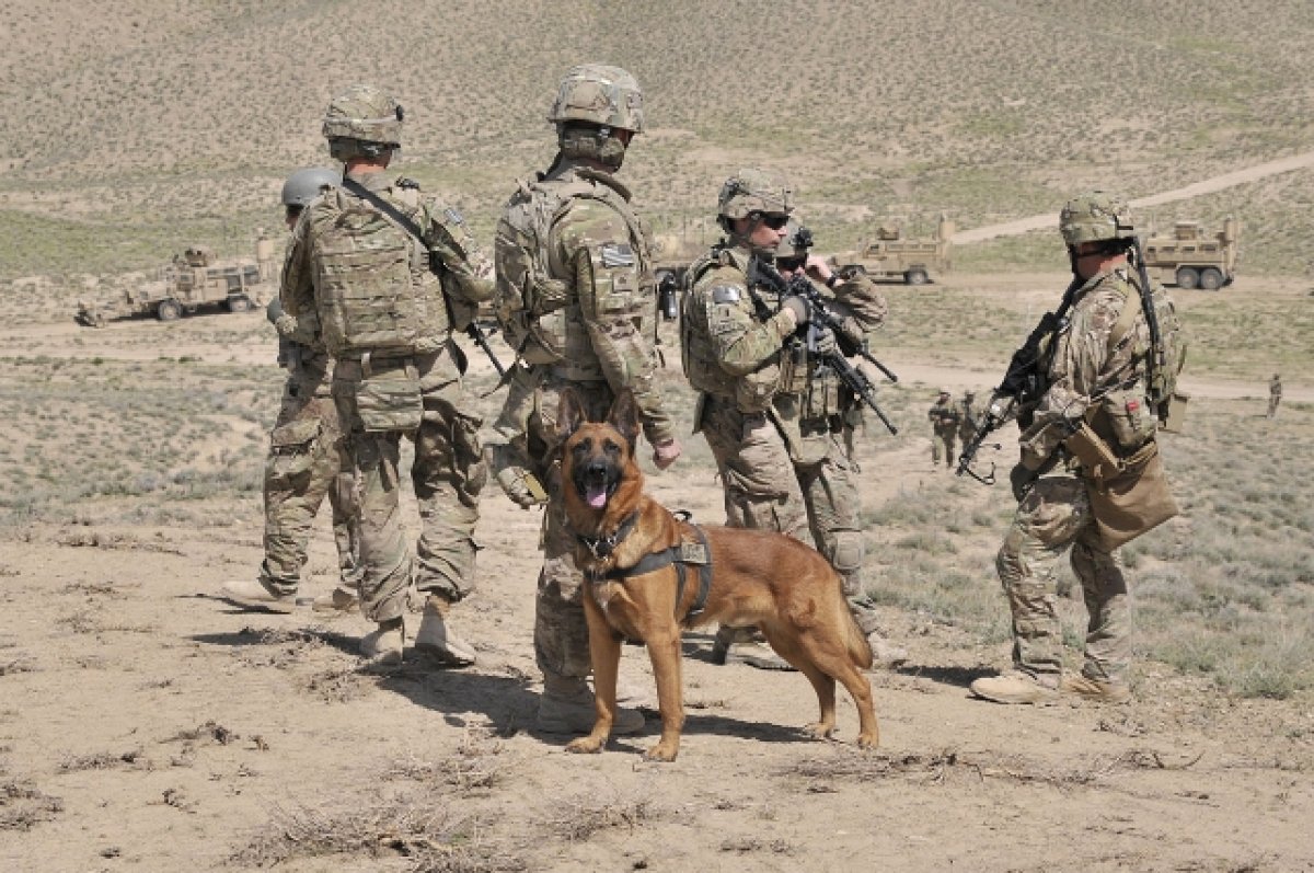 Госдеп указал на ошибки при выводе американских войск из Афганистана