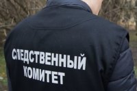 Глава Сорочинского ГО попросила не множить слухи о смерти Василисы.