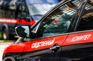 СК возбудил уголовное дело по факту нападения на Милашину и Немова