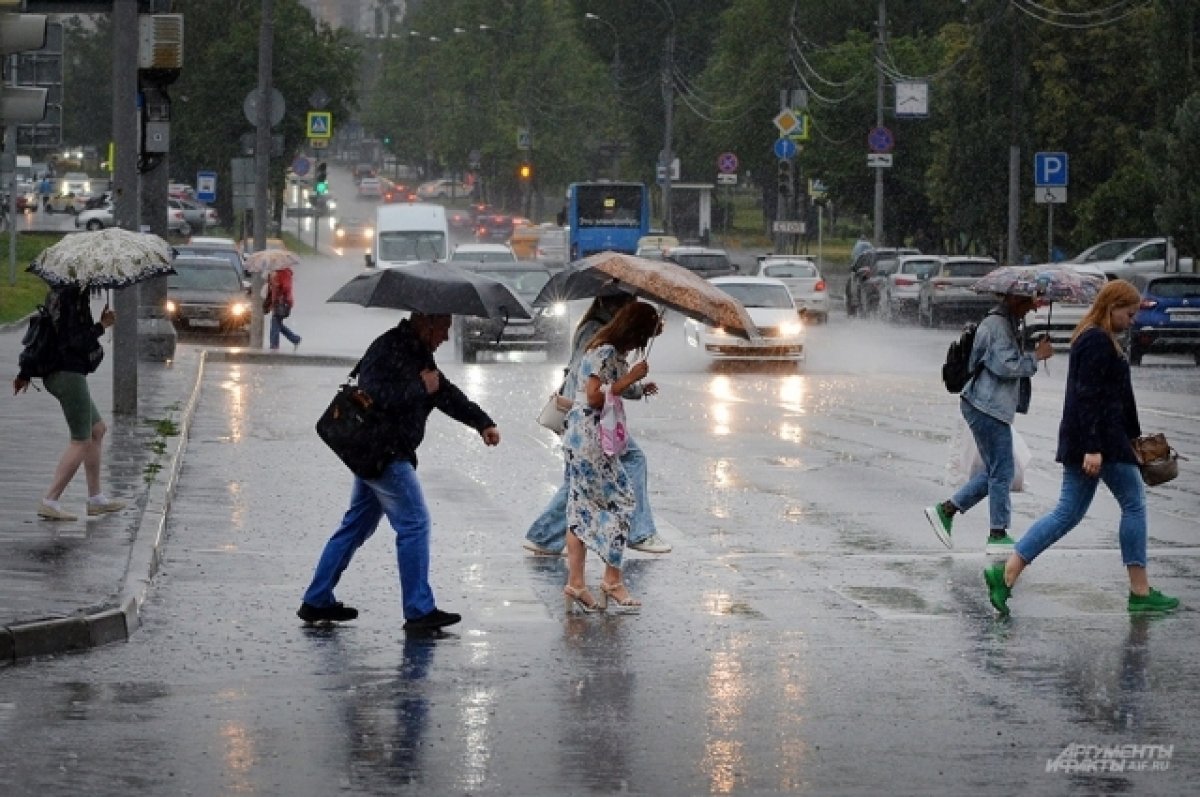 Ожидается сильный. Дождливый день. Дождь в городе. Дождь в Москве. Сильный дождь.