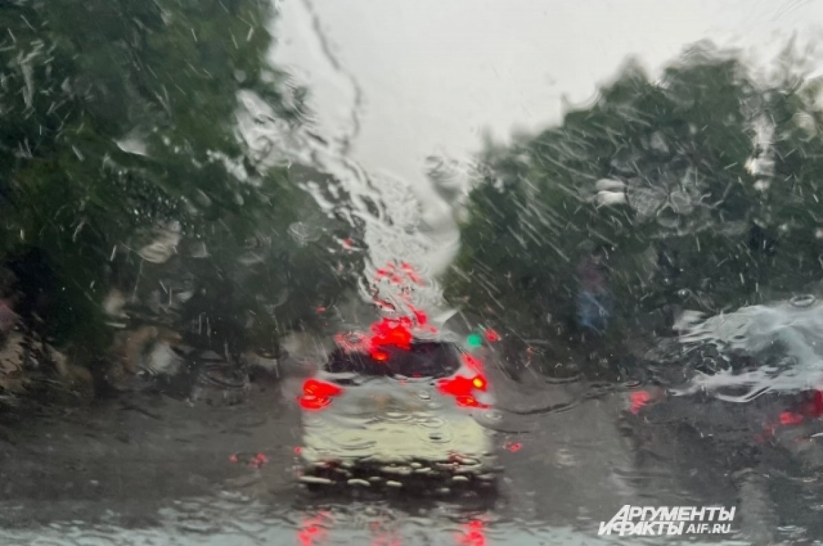 МЧС предупредило о сильных дождях, грозах и граде 7 июля в Брянской области