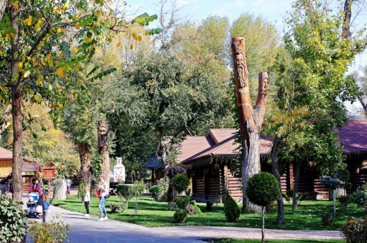 Видео: в Ростовской области туристки украли цветущий куст в парке «Лога»