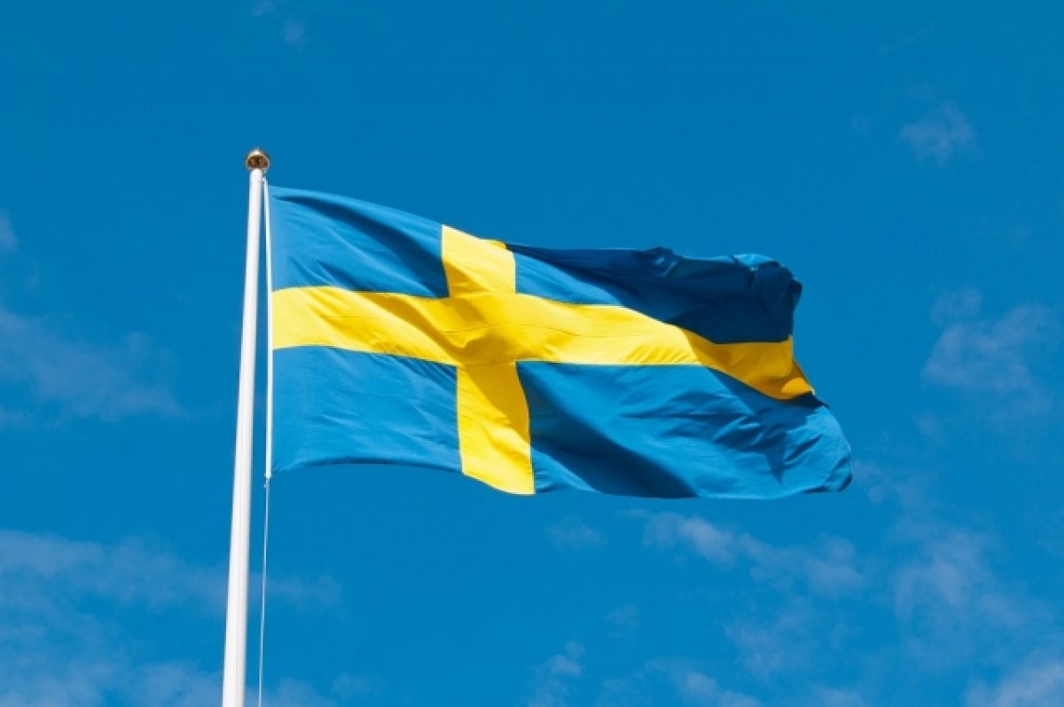 В Швеции прошла манифестация с сожжением устава НАТО