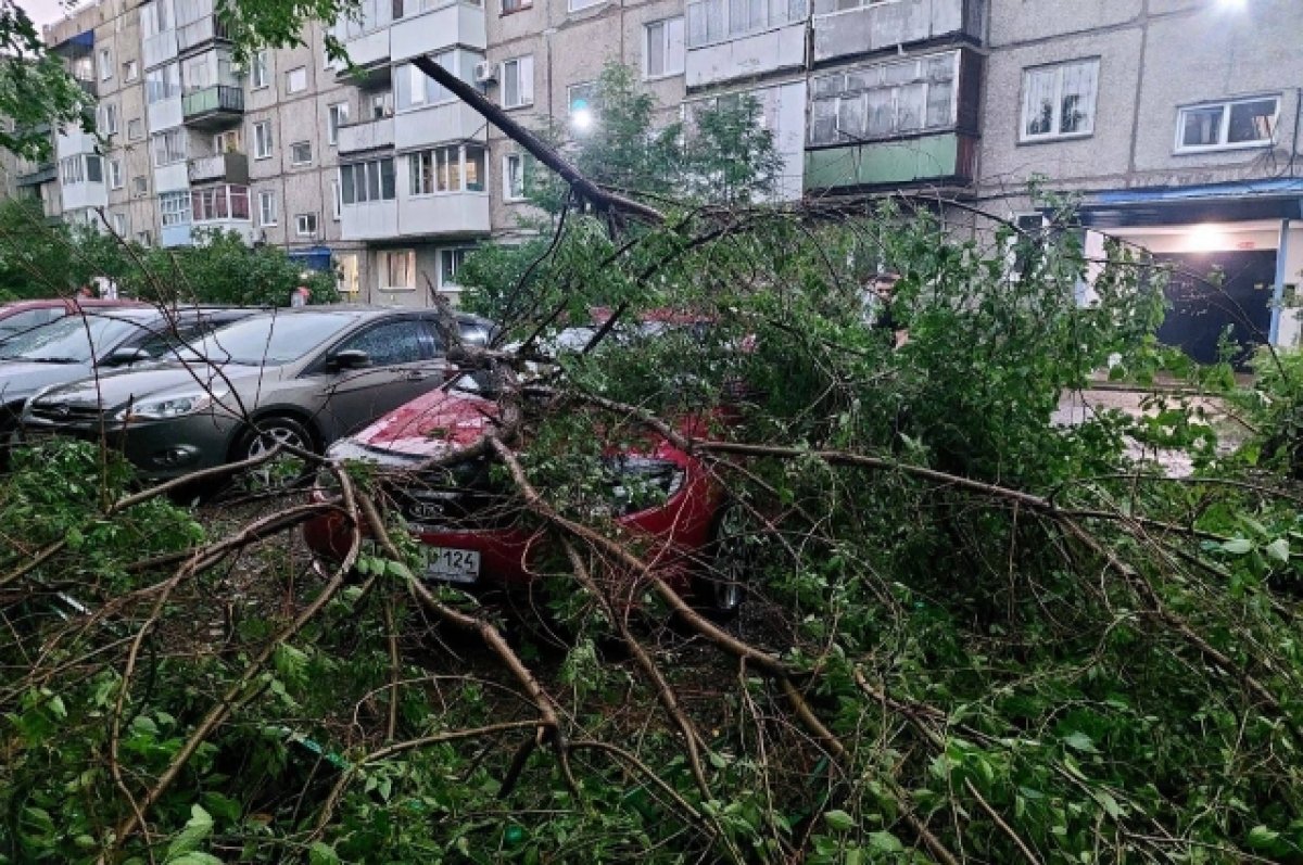 В Минусинске из-за урагана пострадали восемь автомобилей | АиФ Красноярск