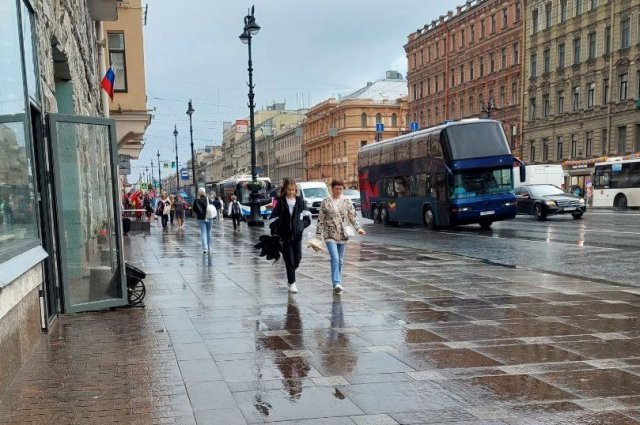 В петербурге дождь картинки