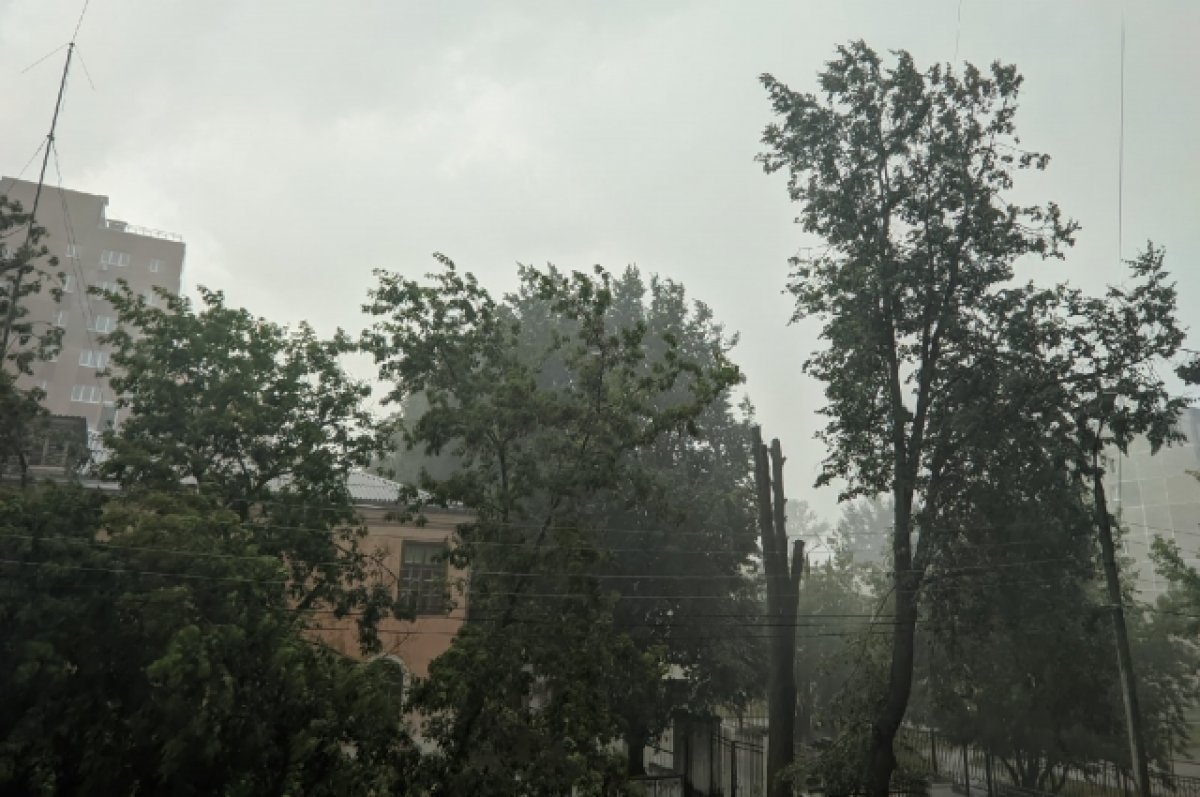 Ураганный ветер срывал крыши в Камне-на-Оби