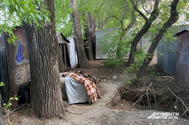 Кемеровчане оборудуют будки для бездомных животных, которые не опасны для человека. 