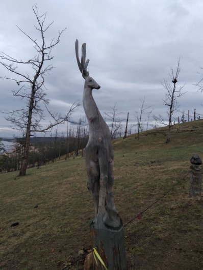 По периметру Сарайского пляжа местные умельцы вырезали из дерева оленя, нерпу, орла и другие скульптуры.