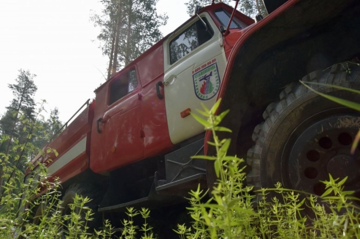 В Свердловской области ликвидирован крупный лесной пожар | АиФ Урал