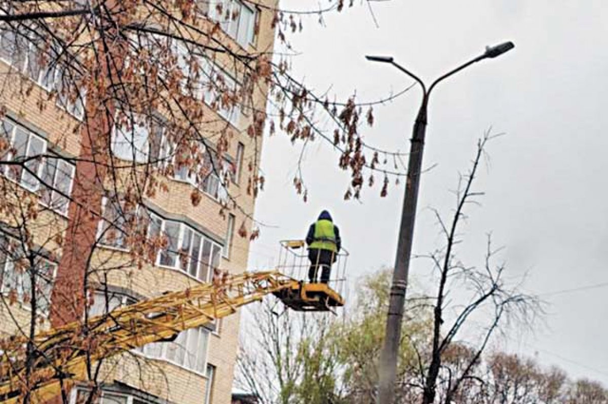 Уличное освещение в Архангельске включат 1 августа | АиФ Архангельск