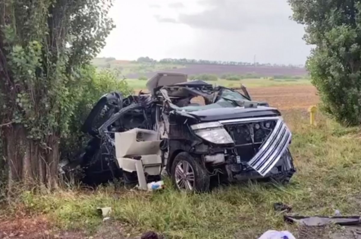 После столкновения машины с деревом в Ростовской области погибли трое
