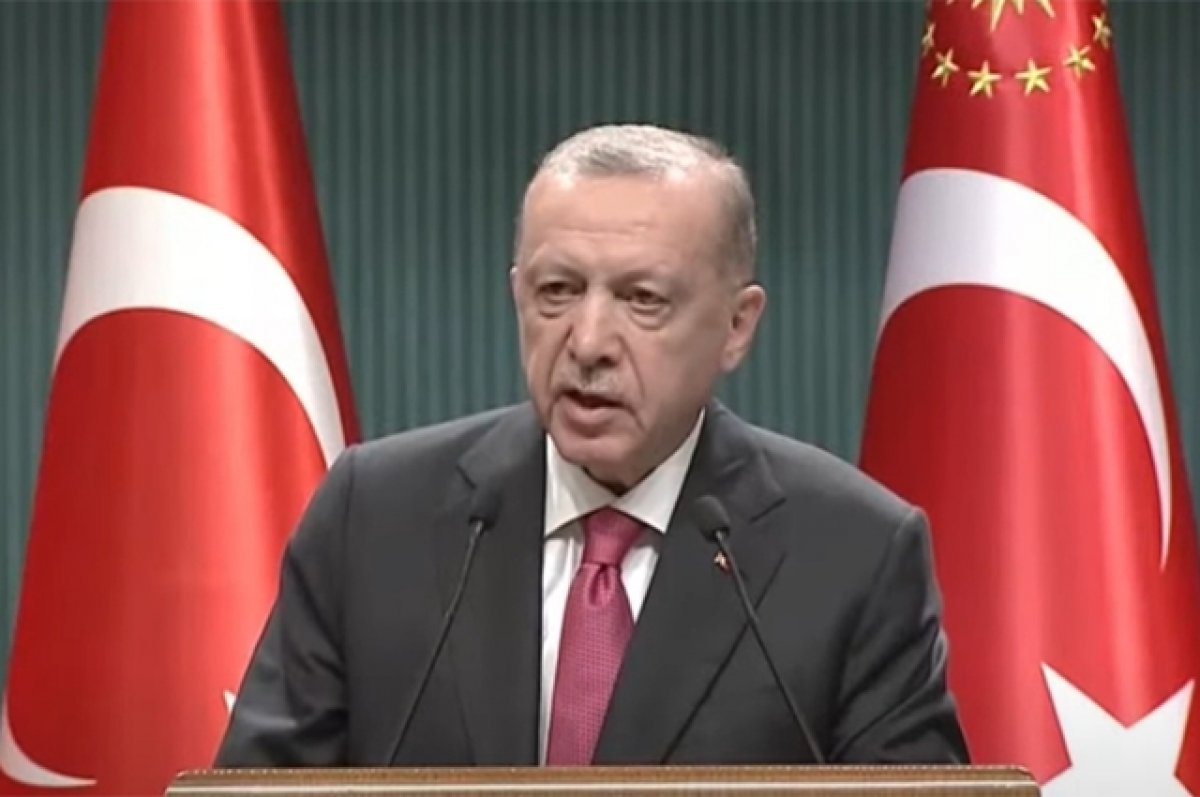 Эрдоган рассказал о сроках рассмотрения заявки Швеции в НАТО