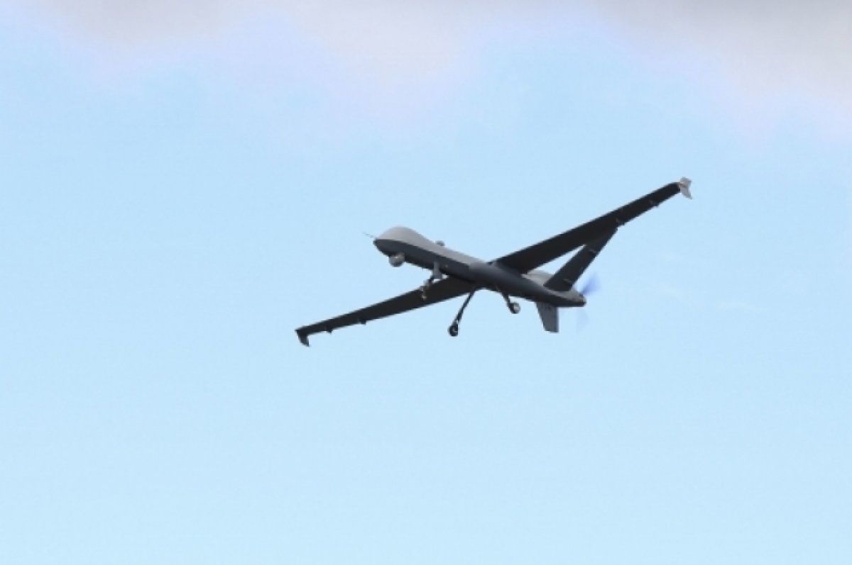 В США заявили, что российский самолет повредил американский дрон в Сирии