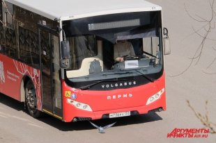 Автобусы выйдут на маршруты в 16-ти территориях края.
