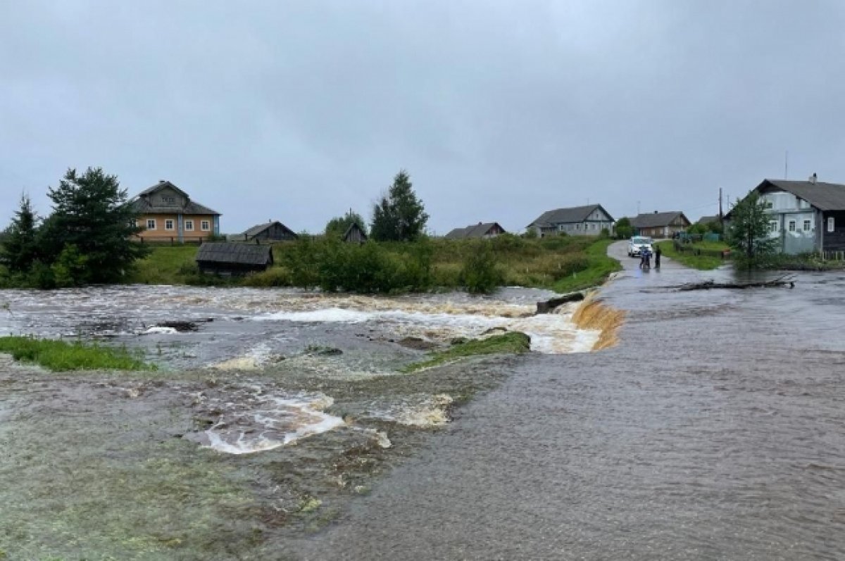 Дело особой влажности. В Карелии размыло дорогу, падали деревья и остановка  | АиФ Карелия