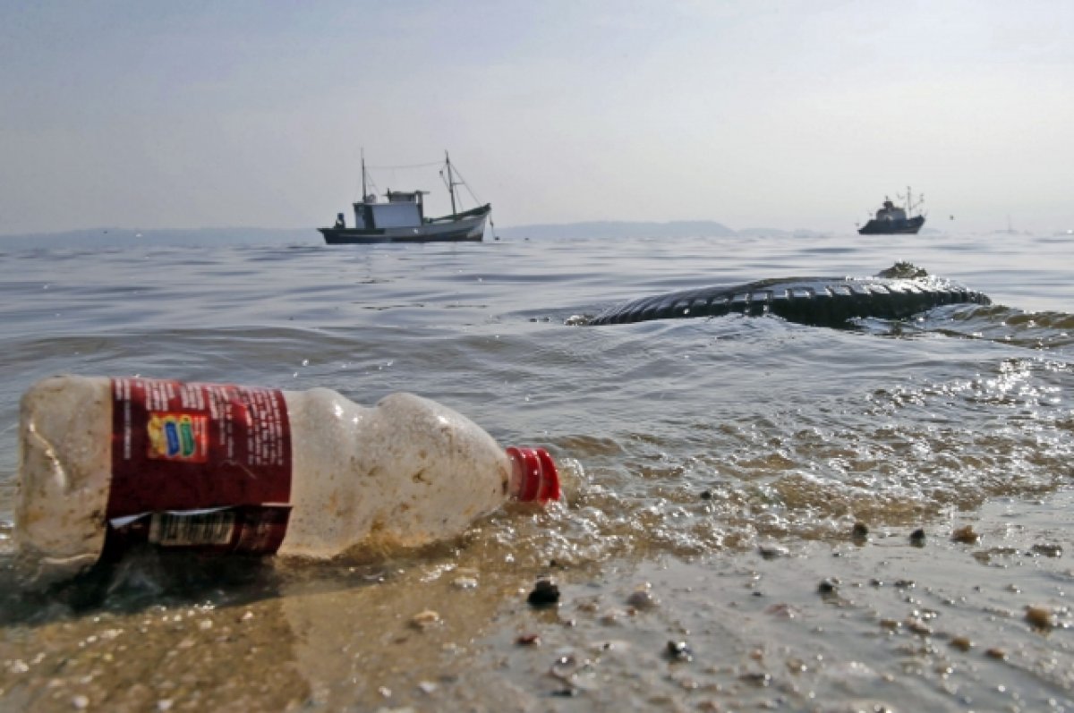 Немецкие ученые объявили сбор пляжного мусора