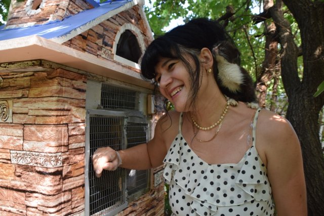 Дина Пашинская спасает котов всю жизнь.