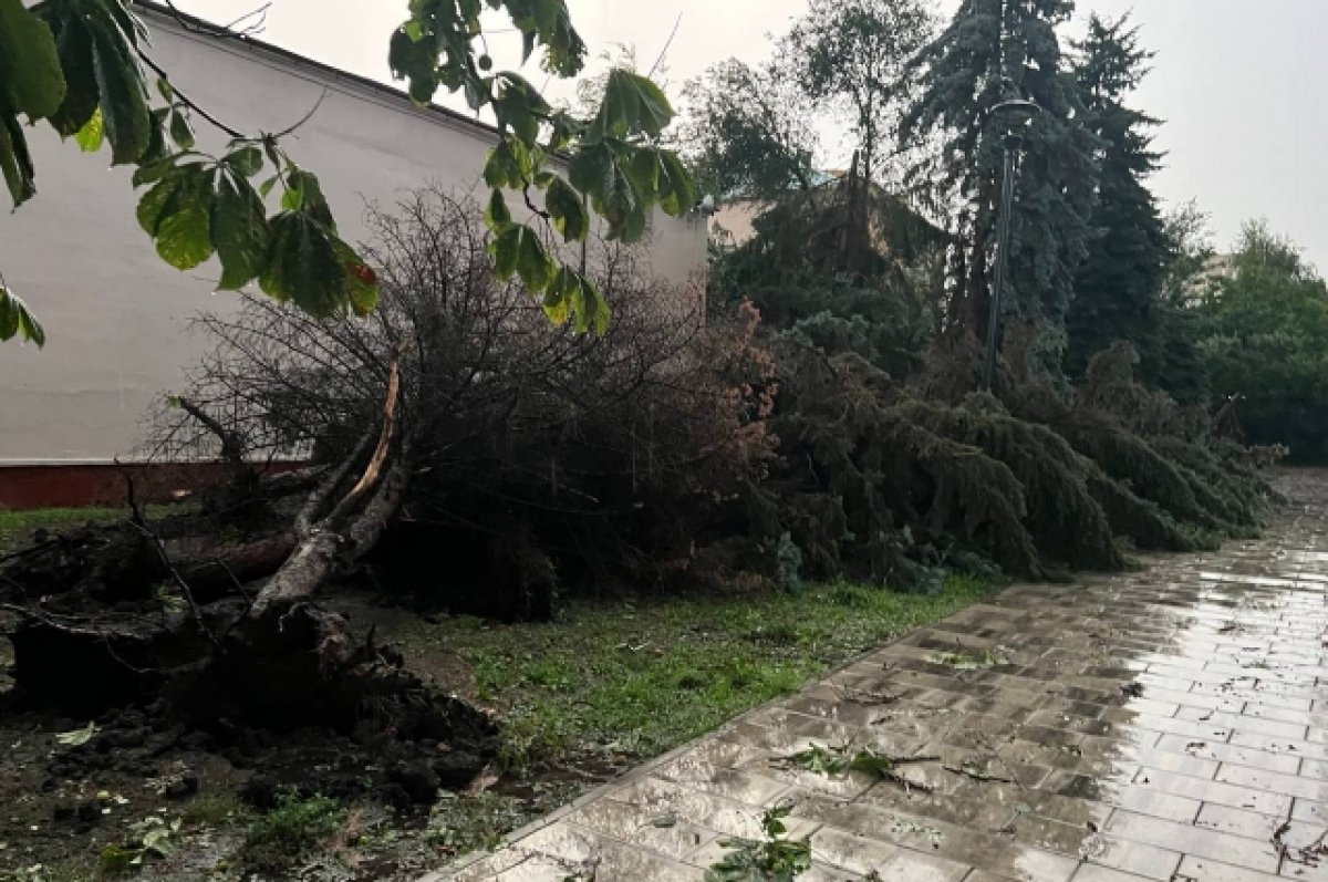 Из-за сильного ливня белгородцев просят по возможности не выходить на улицу  | АиФ Белгород