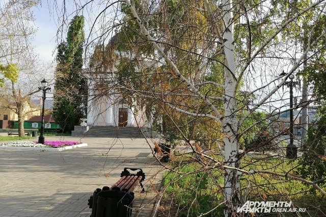 В Оренбурге мэрию обязали провести инвентаризацию деревьев