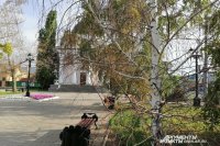 В Оренбурге мэрию обязали провести инвентаризацию деревьев
