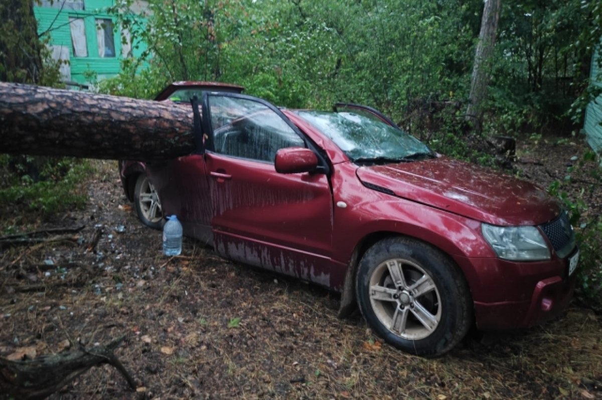 Ураган разгромил базу отдыха в Лаишево, попортил машины и оборвал ЛЭП | АиФ  Казань