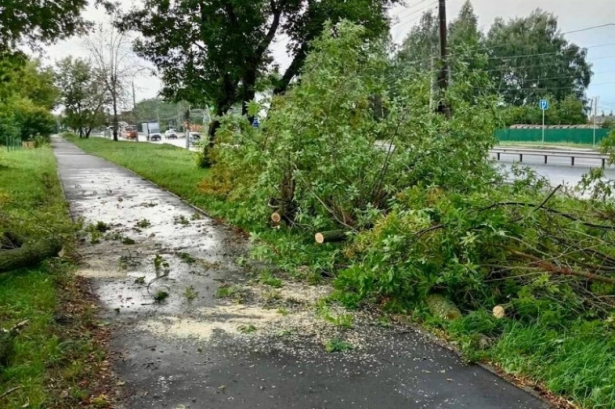 Буря в нижнем новгороде сегодня