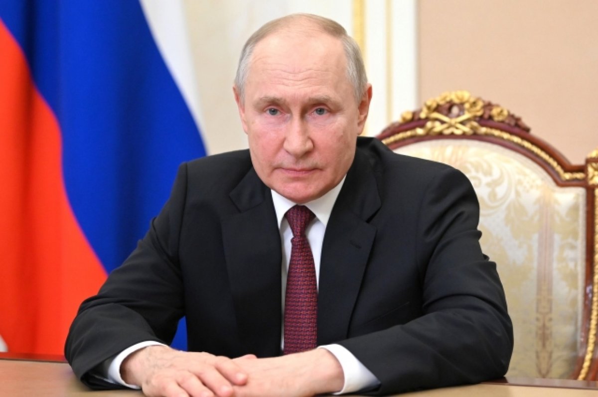 Путин: страны Африки не просят «никаких подачек» у России