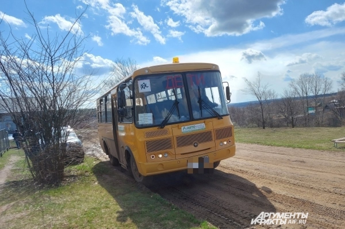 Водитель школьного автобуса на Кубани подозревается в показе детям порно
