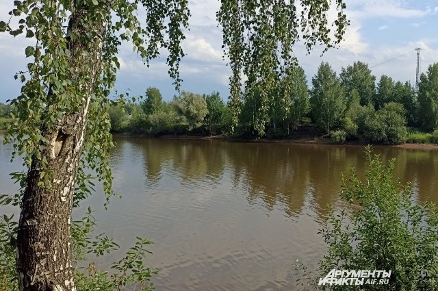 !4-летний мальчик утонул 30 июля в реке Мулянке.