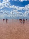 Бурлинское (розовое) озеро